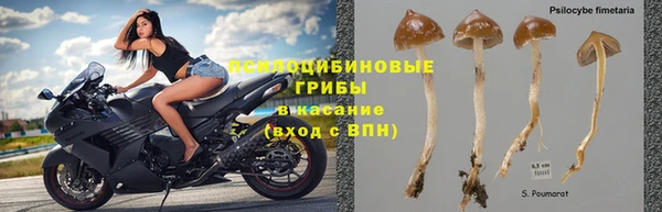 экстази Осинники