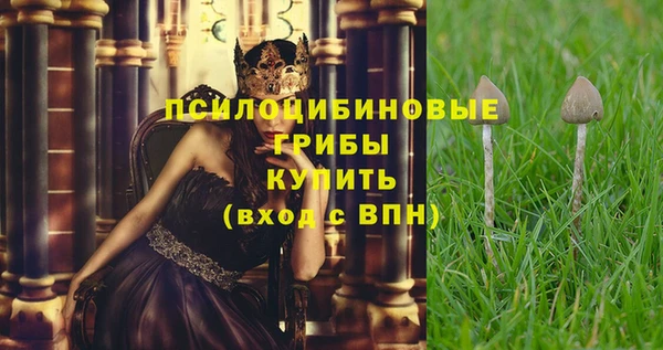 соль ск Абаза