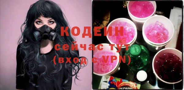 соль ск Абаза