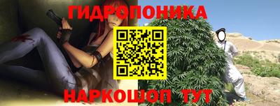 амф Партизанск