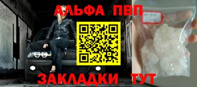 стаф Сланцы