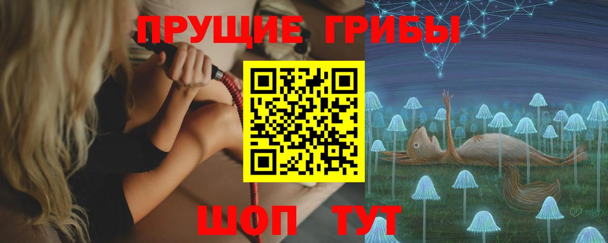 Алапаевск  где купить наркотик  Вход с VPN  Галлюциногенные грибы Cubensis 